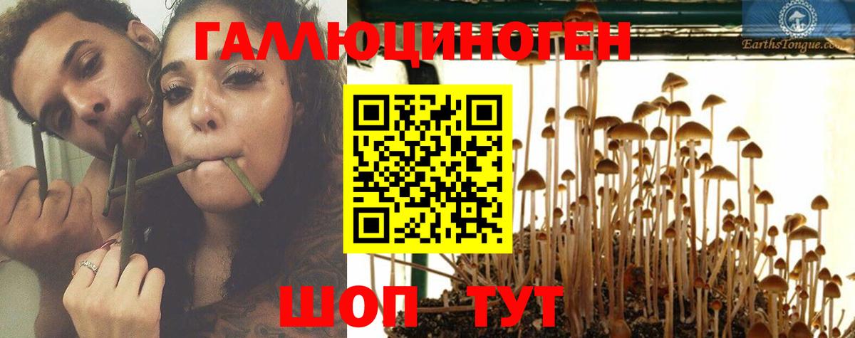Псилоцибиновые грибы Magic Shrooms  Вход с VPN  Ишим 